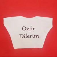 Özür Dilerim Yazılı Peluş Oyuncak Ayı Tişörtü