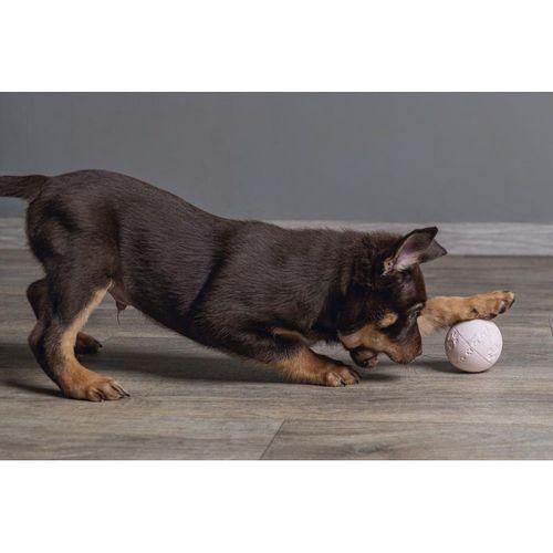 Beeztees Yavru Köpek Oyuncağı, Top, Kauçuk, Pembe, 6cm