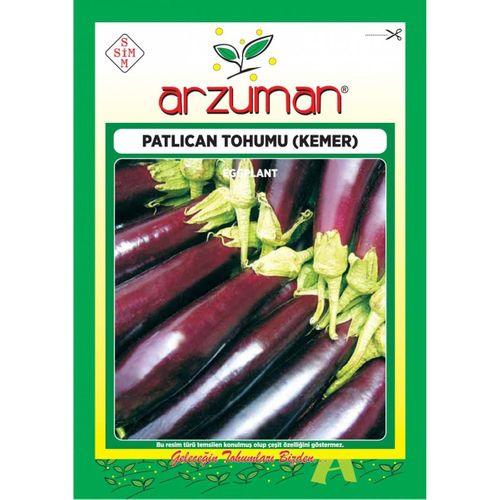 Patlıcan Tohumu (10 Gr) Kemer-27