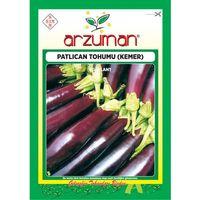 Patlıcan Tohumu (10 Gr) Kemer-27