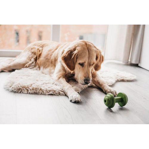 Beeztees Sumo Halter Şekilde Dental Oyuncak 13x7x