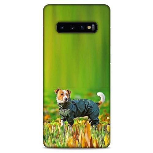 Samsung Galaxy S10 Plus Kılıf Köpek Kıyafetleri (26) Tpu Silikon Kılıf Jack Russell Yağmurluk