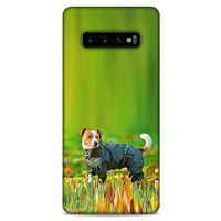 Samsung Galaxy S10 Plus Kılıf Köpek Kıyafetleri (26) Tpu Silikon Kılıf Jack Russell Yağmurluk
