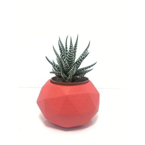 Sekizgen Beton Saksı ve Canlı Sukulent - YE1603