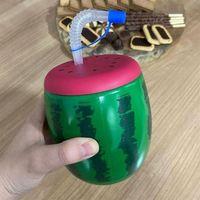 Karpuz Model Kendiliğinden Pipetli 900 ml Suluk, Matara