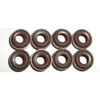 Subap Lastik Takımı (7mm) 1.4 1.6 1.5 | Clio Symbol Fluence Kangoo Megane Renault 19 Dacia Dokker Duster Lodgy Stepway Logan Sandero