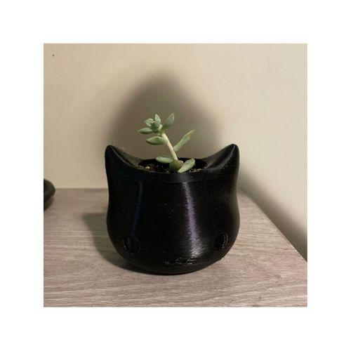 Kedi Saksısı (Bu ürün Sadece Plastik parçadır - Almadan Önce Soru Sorabilirsiniz)