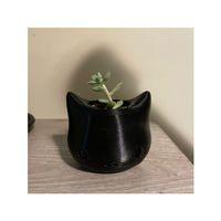 Kedi Saksısı (Bu ürün Sadece Plastik parçadır - Almadan Önce Soru Sorabilirsiniz)