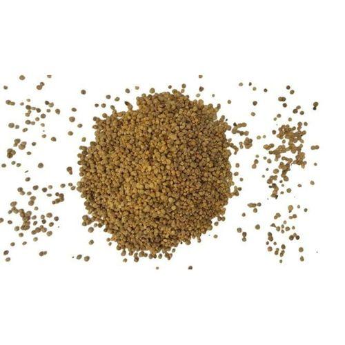Ispanak Tohumu 1 Kg (Yerli) Kuzukulağı Çeşidi