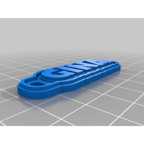 GINA (Bu ürün Sadece Plastik parçadır - Almadan Önce Soru Sorabilirsiniz)