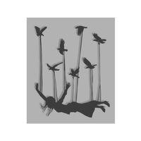 Kuşlarla Uçan Kadın 3D Baskı (Bu ürün Sadece Plastik parçadır - Almadan Önce Soru Sorabilirsiniz)