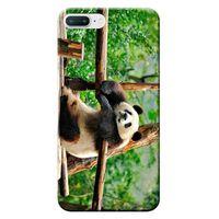 iPhone 8 Plus Kılıf Miskin Panda Baskılı Esnek TPU Silikon