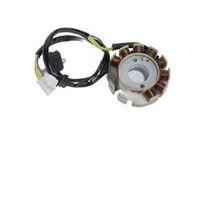 Statör Komple Wing 50 12 Li