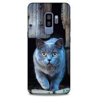 Lopard Samsung Galaxy S9 Plus Uyumlu Kılıf Kediler (48) Bumper Kılıf Duman