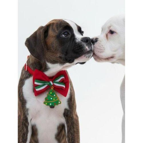 Yılbaşı Agaçı Köpek Papyon Tasması | Kırmızı Fiyonk Boyun Aksesuarı | Noel Temalı Köpek Süsü | Orta ve Büyük Irklar İçin