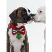 Yılbaşı Agaçı Köpek Papyon Tasması | Kırmızı Fiyonk Boyun Aksesuarı | Noel Temalı Köpek Süsü | Orta ve Büyük Irklar İçin