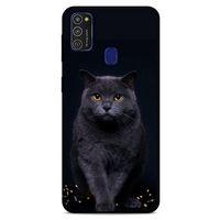 Lopard Samsung Galaxy M21 Uyumlu Kılıf Kediler (47) Crystal Flex Kılıf Scottish Fold