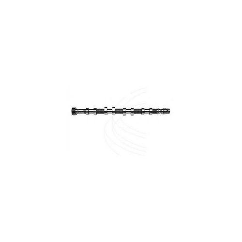 Master 2 - II Eksantrik Mili Emme 8200019181