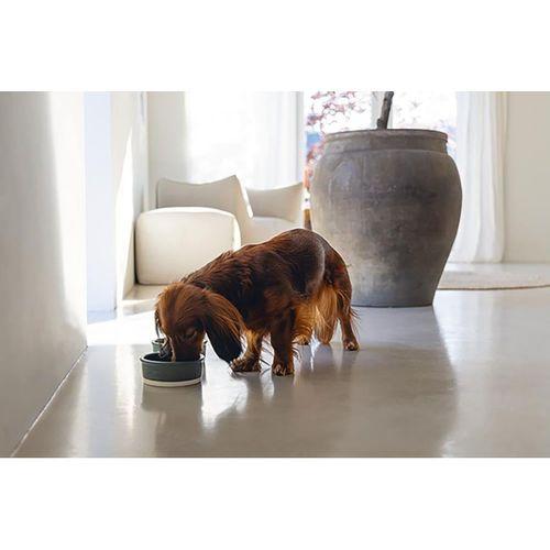 Beeztees DBL Köpek Mama Su Kabı, Seramik, Mat Yeşil, 13cm, 160ml