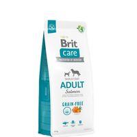 Brit Care Deri Ve Tüy Hassasiyeti Olan, Yetişkin Köpekler İçin, Tahılsız, Somonlu Kuru Mama 12 kg