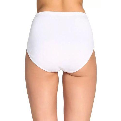 4 Adet Tutku Kadın Yüksek Bel Bato Kalın Lastik Külot S9