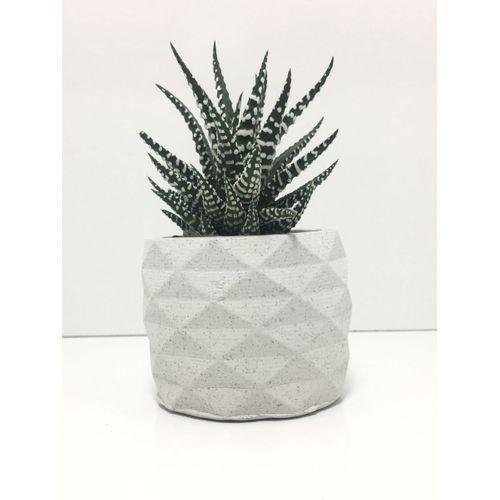 Geometrik Beton Saksı ve Canlı Sukulent - YE1605