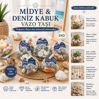 Midye ve Deniz Kabuklu Vazo Taşı