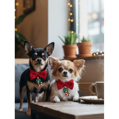 Christmas Candy Yılbaşı Köpek Papyon Tasması | Kırmızı Fiyonk Boyun Aksesuarı | Noel Temalı Köpek Süsü
