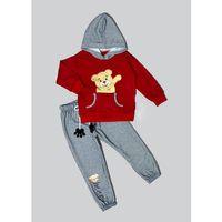 2-3-4 Yaş Pelüş Ayı Desenli Kapşonlu Uzun Kollu Penye Sweat 2li Erkek Çocuk Takımı Bordo