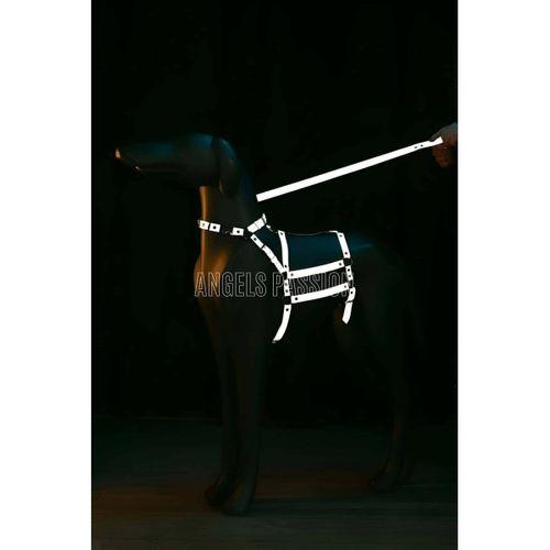 Reflektörlü - Ayarlanabilir Köpek Harness - Köpek Gezdirme Aparatı