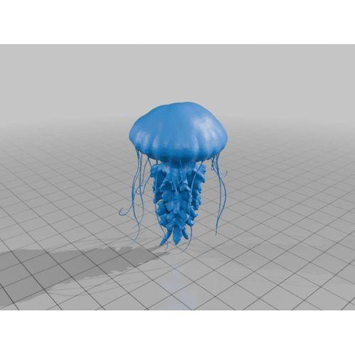 Jöle Balık – 6900627