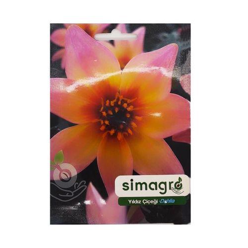 Yıldız Çiçeği (30 Adet)