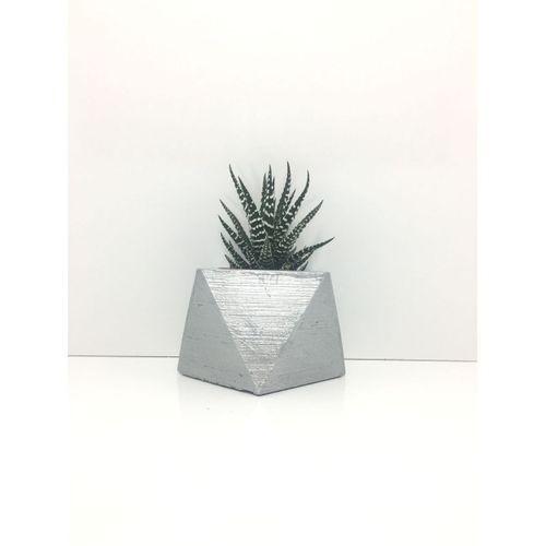 Kare Beton Saksı ve Canlı Sukulent - YE1606