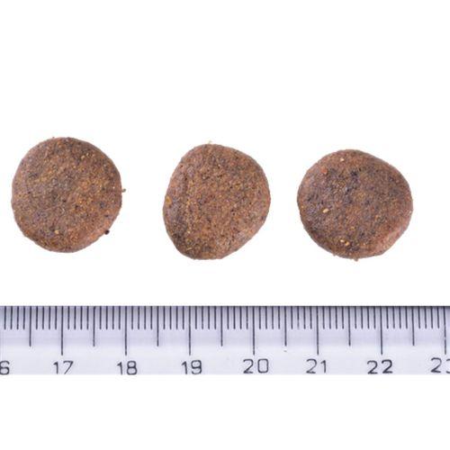 Brit Care Kilo Kontrolü Ve Deri - Tüy Hassasiyeti Olan Yaşlı Köpekler İçin, Tahılsız, Somonlu Kuru Mama 12 kg