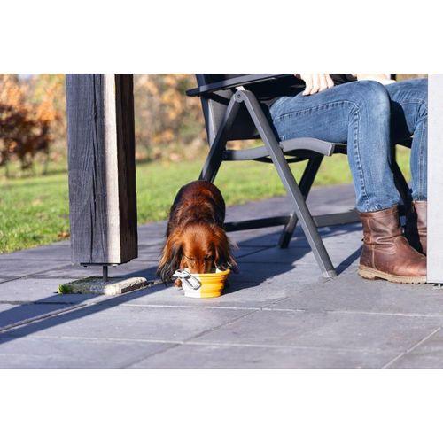 Beeztees Köpek Mama ve Su Kabı, Teleskopik, Turuncu, Silikon, 15,5cm, 750ml
