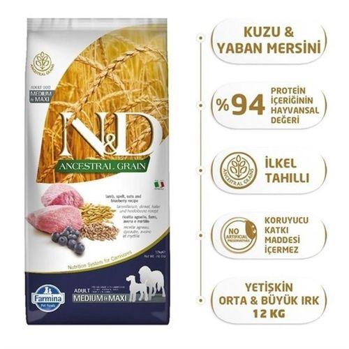 N&D Low Medium Maxi Yaban Mersini&Kuzu Köpek Maması 12 Kg