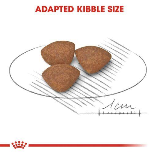 Royal Canin Mini Junior Küçük Irk Yavru Kuru Köpek Maması 4 Kg