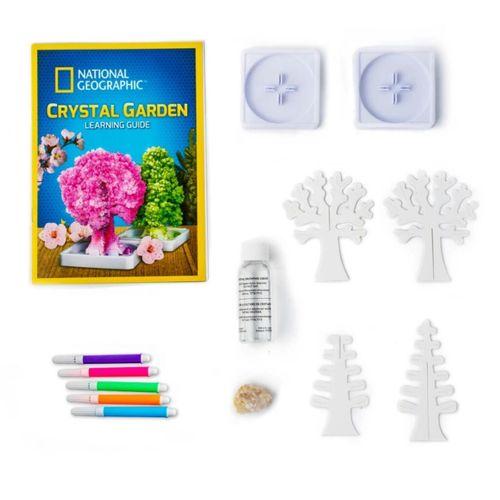 Çocuk Natgeo Kristal Bitki Kiti