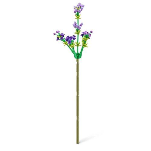 Sürpriz kutusunda doğayı keşfetme keyfi – renkli çiçek parçalarıyla