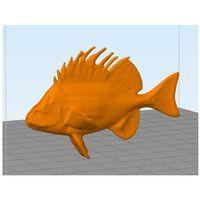 Horoz Balığı (Bu ürün Sadece Plastik parçadır - Almadan Önce Soru Sorabilirsiniz)