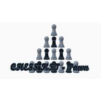 SATRANÇ KİT Piyon (Bu ürün Sadece Plastik parçadır - Almadan Önce Soru Sorabilirsiniz)