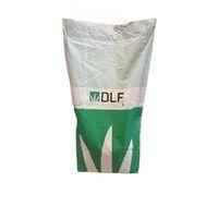 Fare Kulağı Tohumu -Dichondra Repens-250 gr