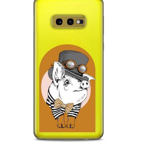 Zoologix (37) Samsung Galaxy S10e Şeffaf Kılıf Silikon Desenli