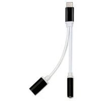 ZR310 Ft Ac 20 Type-C 2 İn 1 Çevirici