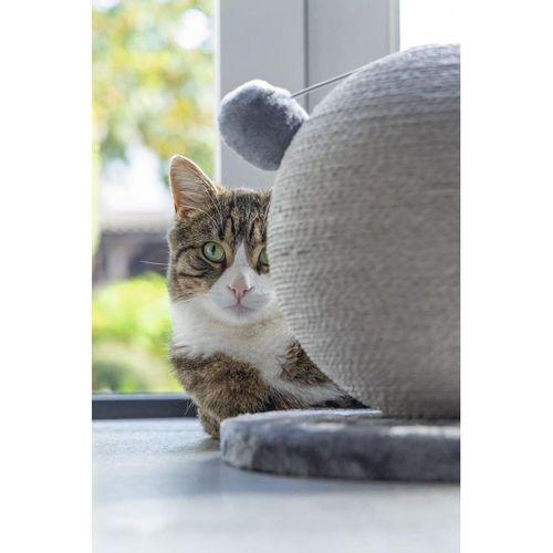 Karlıe Kedi Tırmalama Küresi Bolly Gri 30.5cm