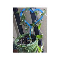 Kalpli Kafes 3D Baskı (Bu ürün Sadece Plastik parçadır - Almadan Önce Soru Sorabilirsiniz)