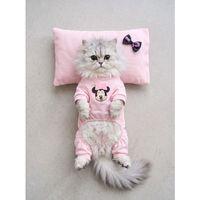 Pinkie Mouse Kedi Uyku Seti | Pembe Kalın Penye Kedi Tulumu ve Kurdele Detaylı Mini Yastık | 2 Parça