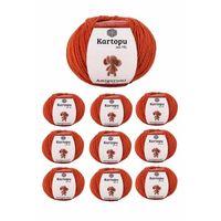 10 Adet Amigurumi El Örgü İpi 50gr 269
