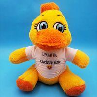 Civciv Oyuncak Ufak At Da Civcivler Yesin Tişörtlü