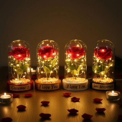 Renkli Toplu Ledli Gül Fanus